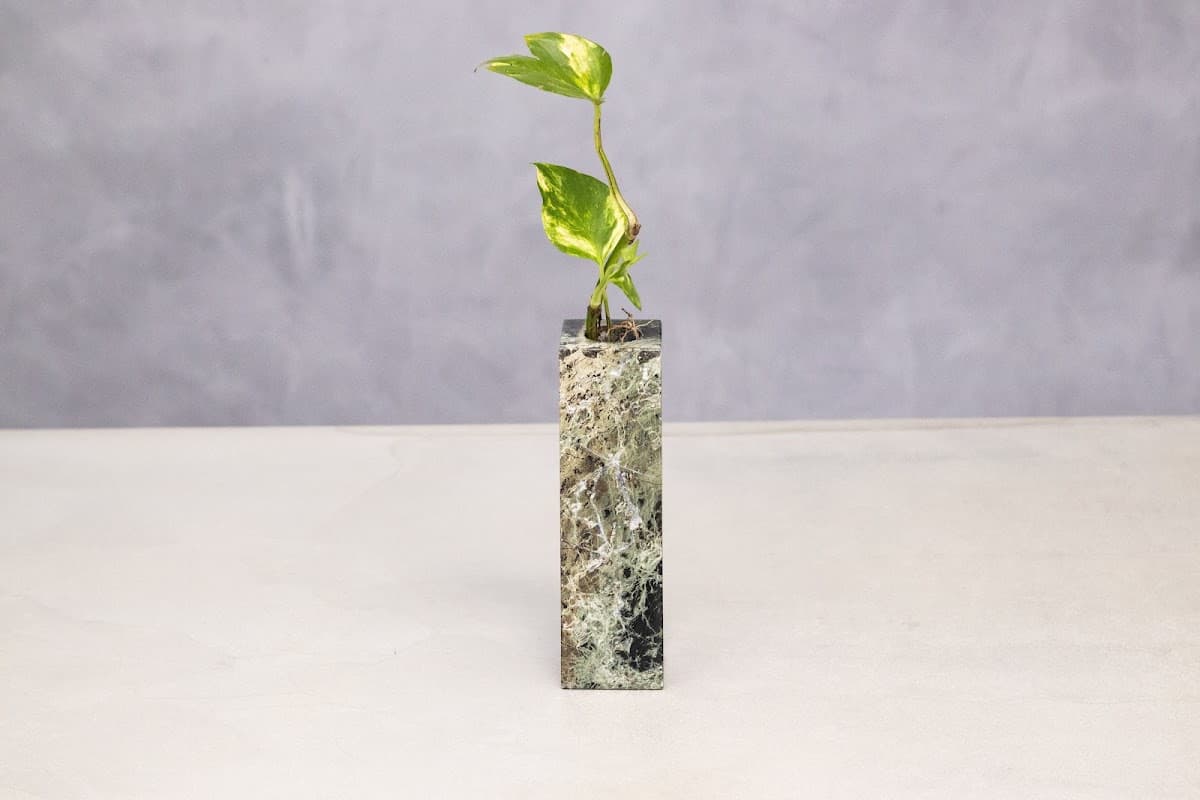 Vaso Broto em Serpentinita