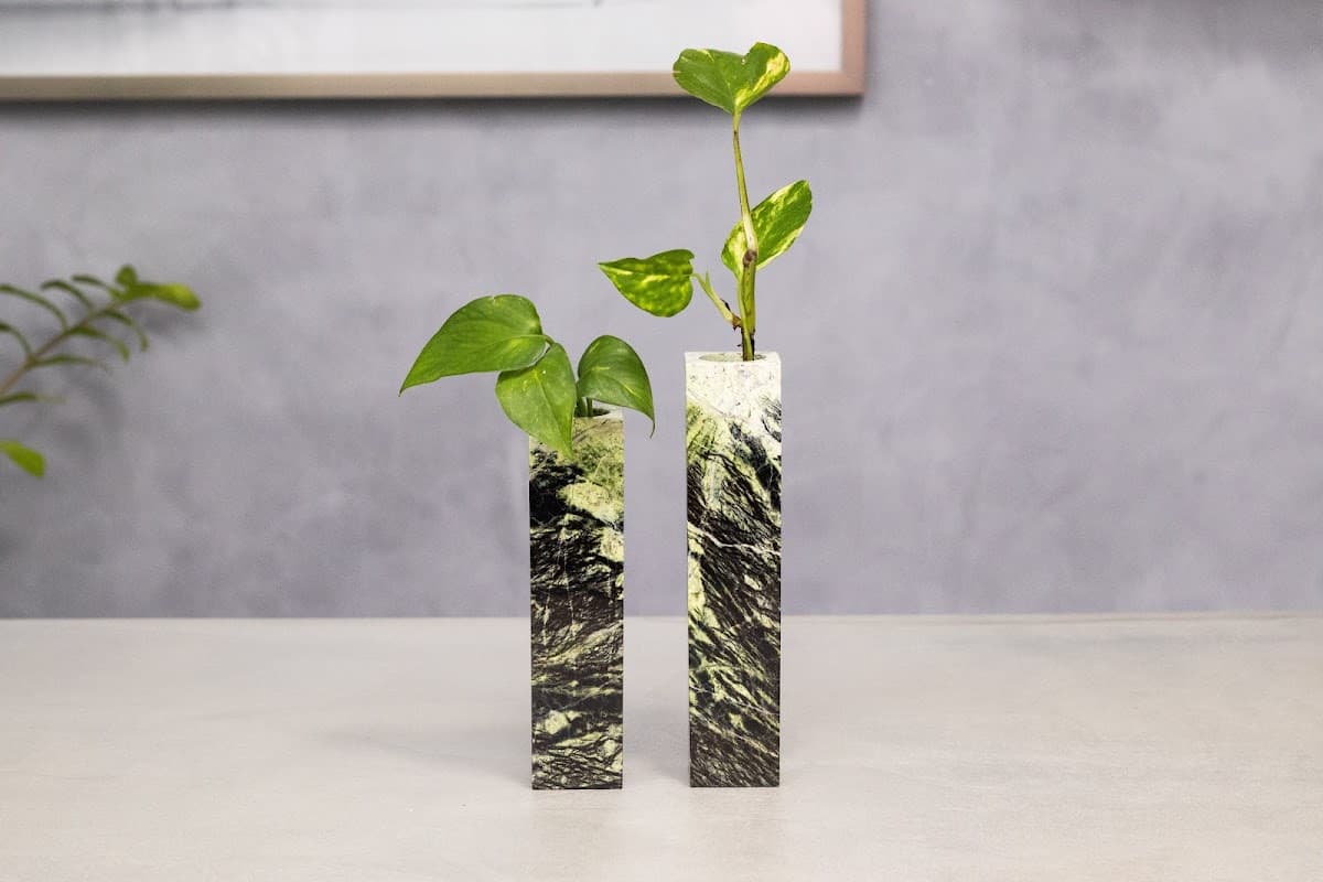 Duo de Vasos Broto em Serpentinita