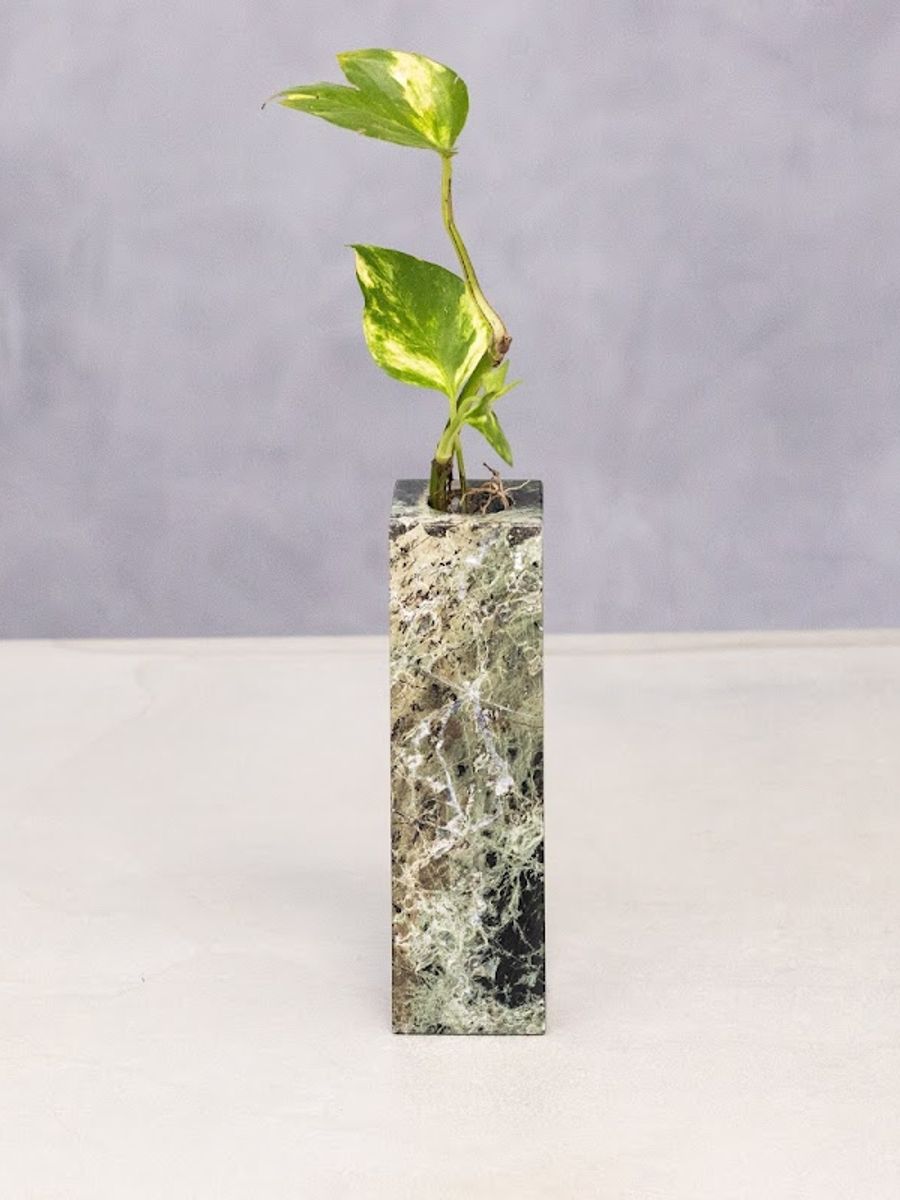 Vaso Broto em Serpentinita
