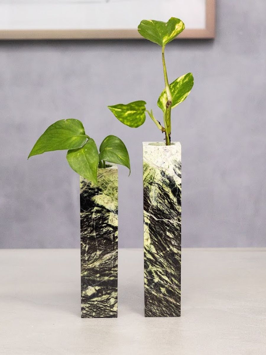 Duo de Vasos Broto em Serpentinita